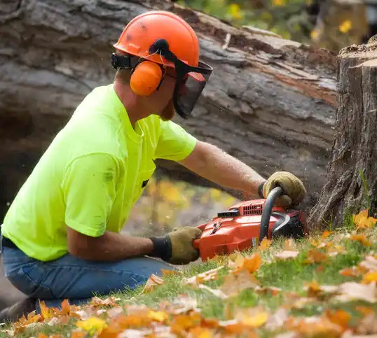 tree services Brownsdale